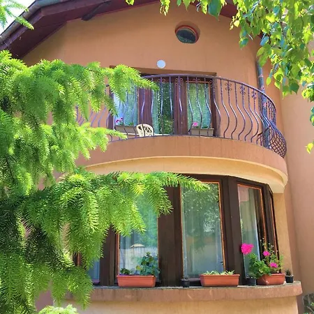 за гости димитрови 3*