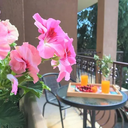 за гости димитрови 3*