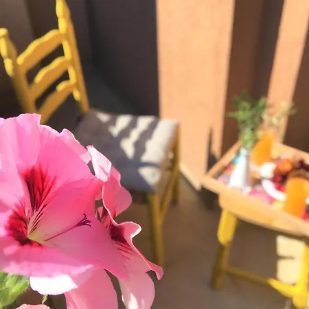 за гости димитрови