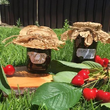 за гости димитрови