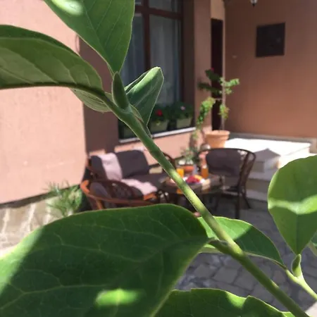 Dimitrovi - Peaceful Near With Garden, Sarafovo 4* 布尔加斯