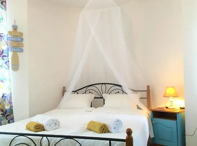 за гости димитрови بورغاس