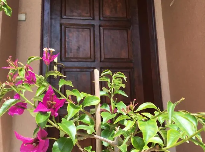 بيت ضيافة за гости димитрови