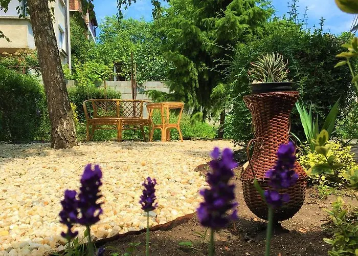 за гости димитрови 4* بورغاس