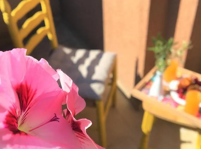 за гости димитрови