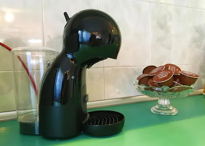 за гости димитрови بورغاس