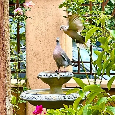 Guest house за гости димитрови Burgas