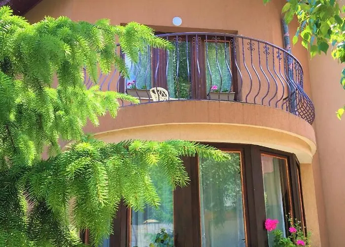 за гости димитрови 4*