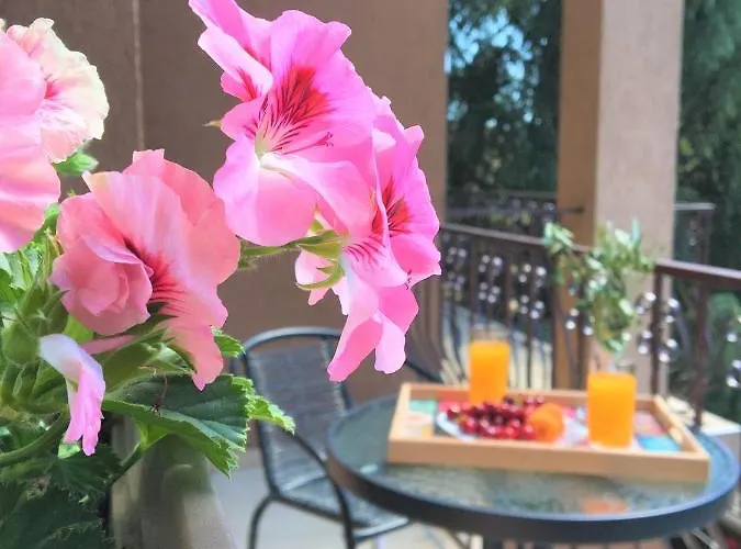 за гости димитрови 4*