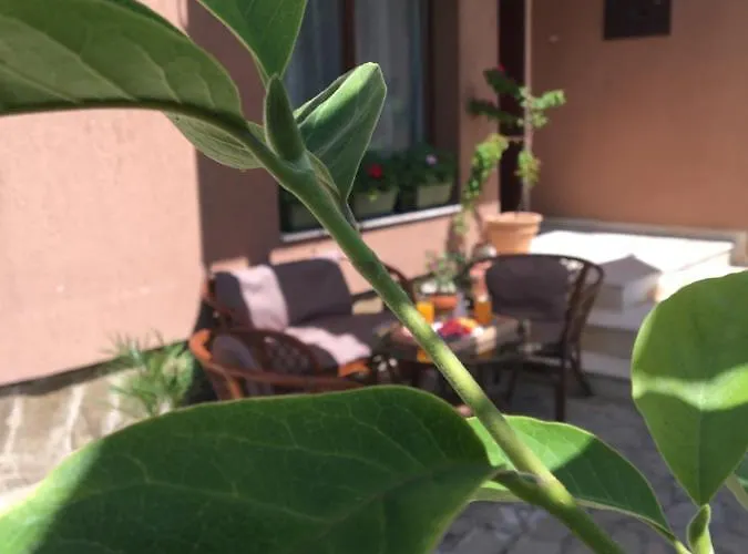 за гости димитрови 4* Burgas